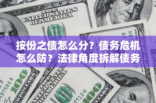 武汉按份之债怎么分？债务危机怎么防？法律角度拆解债务分配与风险自保指南