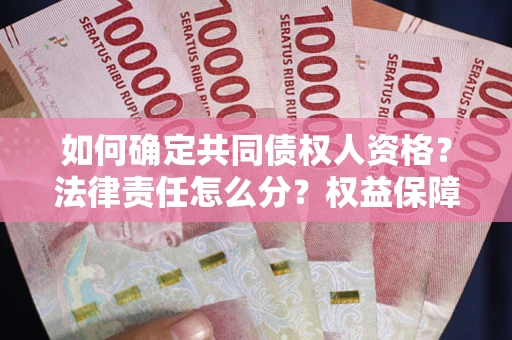 武汉如何确定共同债权人资格？法律责任怎么分？权益保障技巧揭秘！