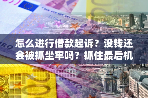 武汉怎么进行借款起诉？没钱还会被抓坐牢吗？抓住最后机会！