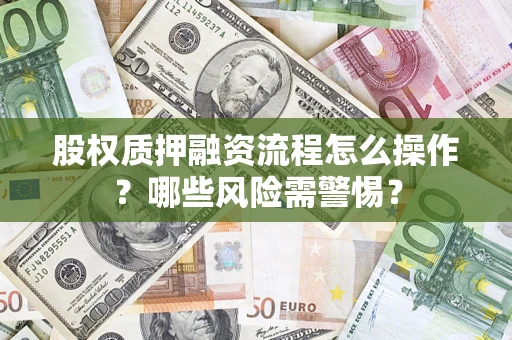 武汉股权质押融资流程怎么操作？哪些风险需警惕？