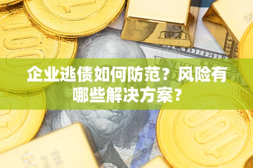 武汉企业逃债如何防范？风险有哪些解决方案？