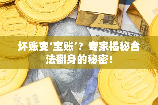 武汉坏账变‘宝账’？专家揭秘合法翻身的秘密！