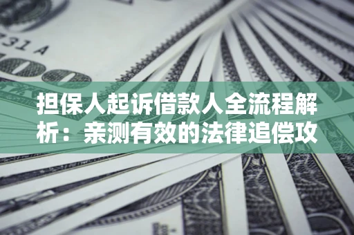 武汉担保人起诉借款人全流程解析：亲测有效的法律追偿攻略