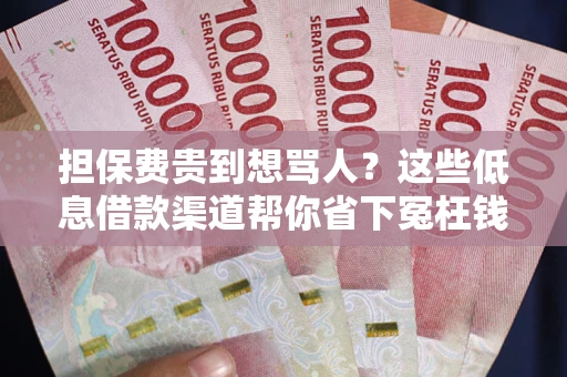 武汉担保费贵到想骂人？这些低息借款渠道帮你省下冤枉钱