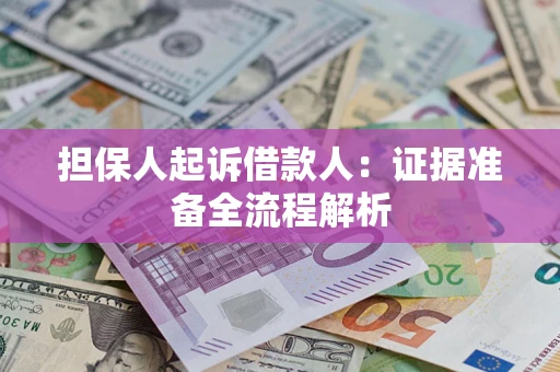 武汉担保人起诉借款人：证据准备全流程解析