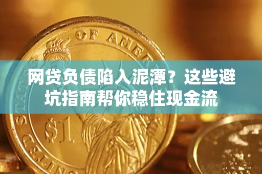 武汉网贷负债陷入泥潭？这些避坑指南帮你稳住现金流
