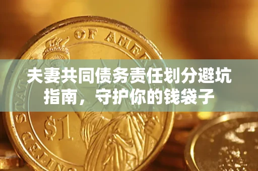 武汉夫妻共同债务责任划分避坑指南，守护你的钱袋子