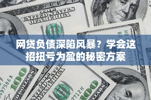 武汉网贷负债深陷风暴？学会这招扭亏为盈的秘密方案